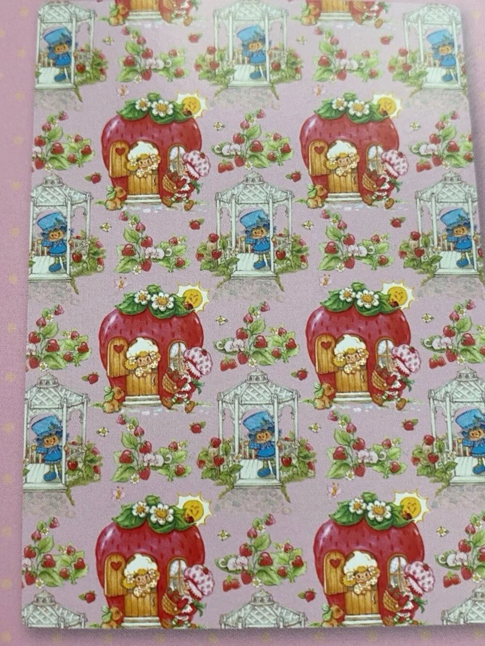 Strawberry Shortcake & Friends 50” X 70”‎ Soft Plush Soft Throw Blanket Pink NEW